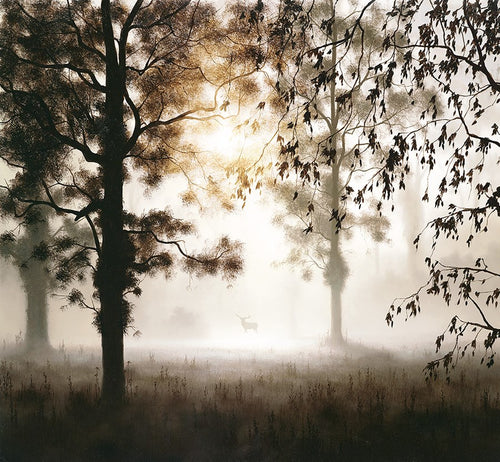 Enchanted Forest by John Waterhouse