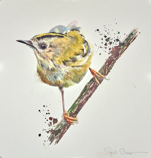 Goldcrest by Sarah Stokes