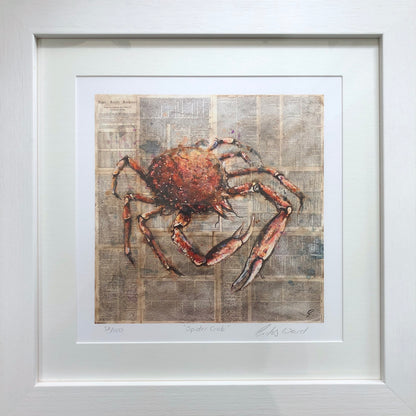 Spider Crab by Giles Ward