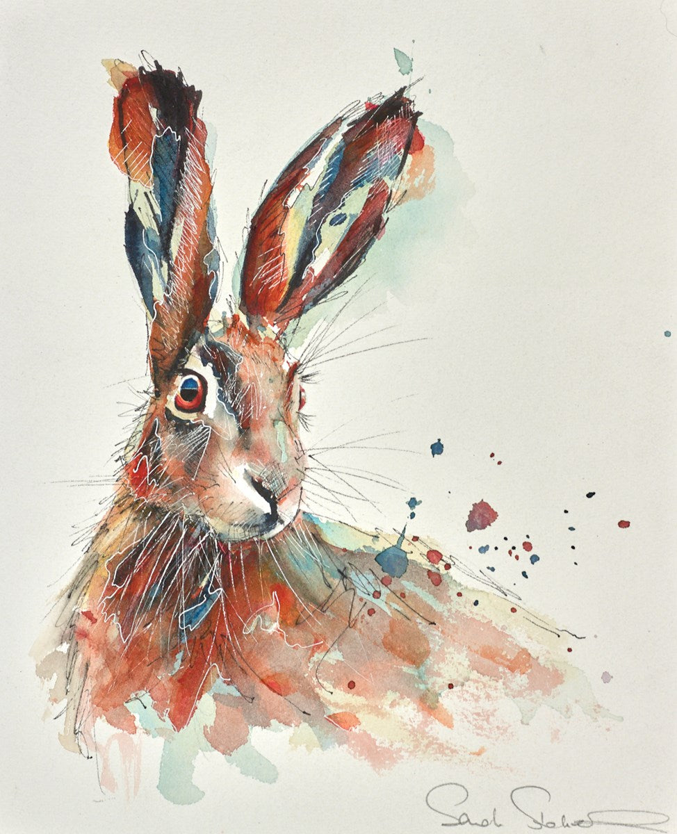Hare by Sarah Stokes