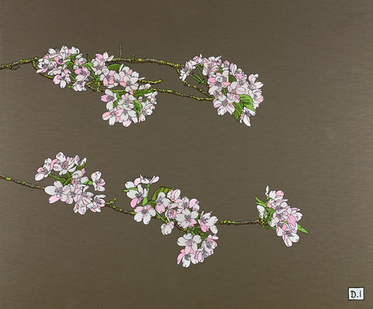 Cherry Blossom II by Dylan Izaak