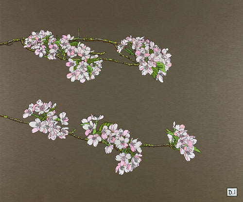 Cherry Blossom II by Dylan Izaak